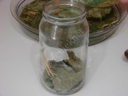 Asma Yaprağı Salamurası