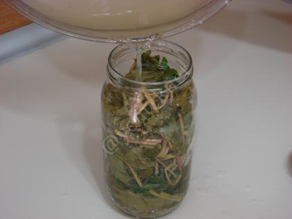 Asma Yaprağı Salamurası