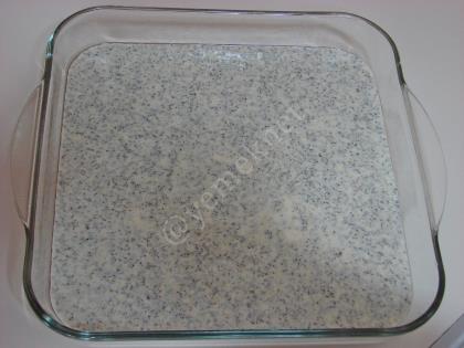 Haşhaşlı Revani Tatlısı