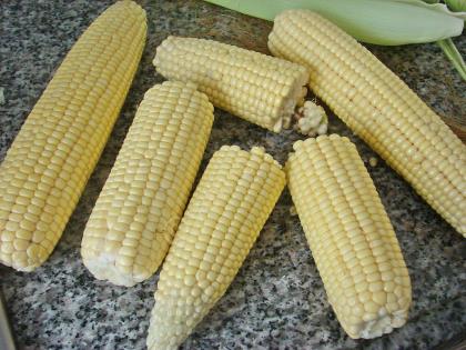 Tane Tane Haşlama Süt Mısır