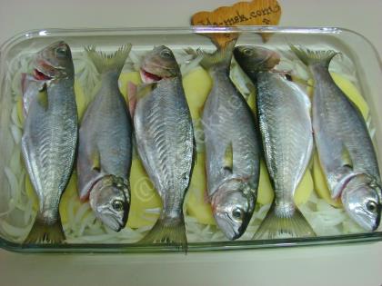 Fırında Patatesli Çinekop Buğulama