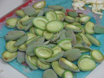 Yoğurtlu Çağla Mezesi