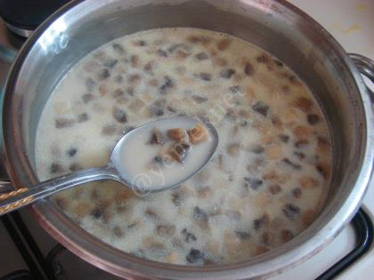 Yoğurtlu Mantar Çorbası