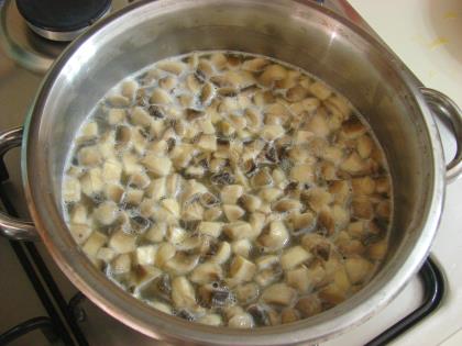 Yoğurtlu Mantar Çorbası