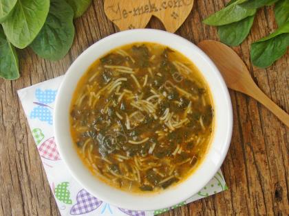 Ispanaklı Şehriye Çorbası