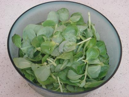 Yoğurtlu Semizotu Yatağında Bulgur Köftesi