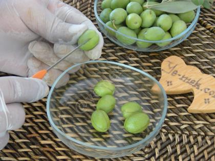 Çizik Yeşil Zeytin