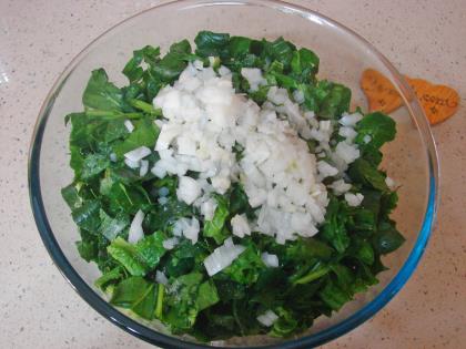 Hamursuz Ispanak Böreği