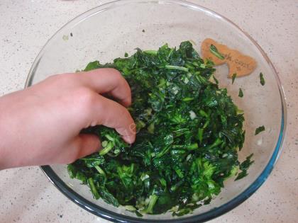 Hamursuz Ispanak Böreği