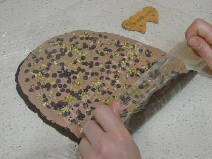 Pişmeyen Rulo Pasta