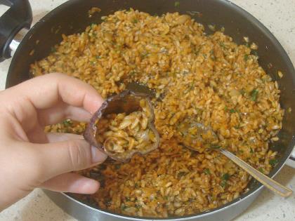 Kuru Patlıcan Dolması