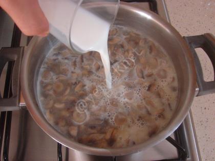 Sütlü Mantar Çorbası