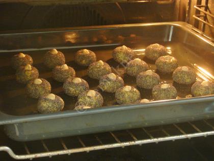 Haşhaşlı Hira Tatlısı