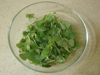 Kolay Yoğurtlu Semizotu Salatası