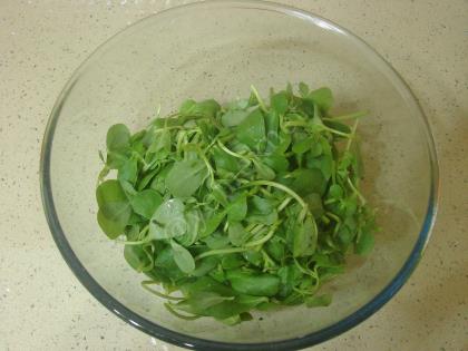 Havuçlu Semizotu Salatası