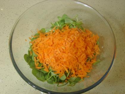 Havuçlu Semizotu Salatası