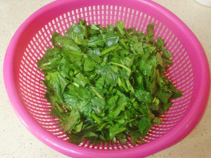 Fırında Peynirli Ispanak