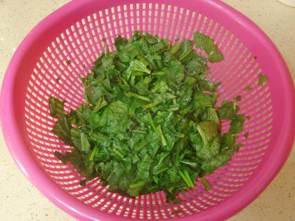 Fırında Peynirli Ispanak