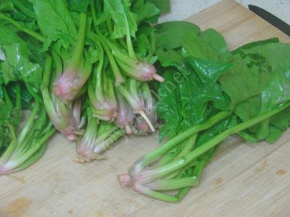 Ispanak Kökü Salatası