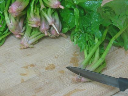 Ispanak Kökü Salatası