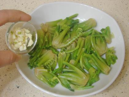 Ispanak Kökü Salatası