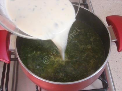 Yoğurtlu Ispanak Çorbası