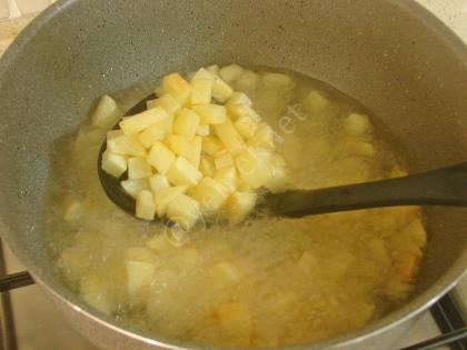 Kızarmış Patates Salatası