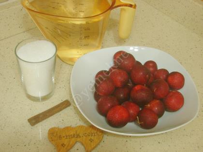 Kırmızı Erik Kompostosu