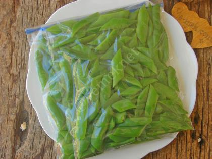 Şoklama Yöntemiyle Taze Fasulye Saklama