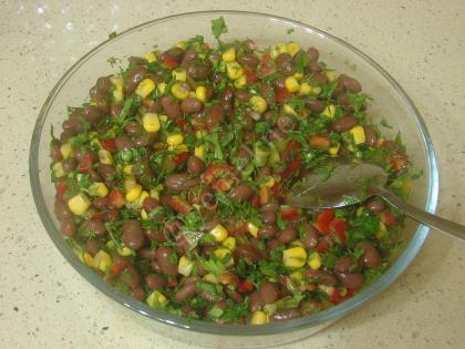 Kırmızı Fasulye Salatası