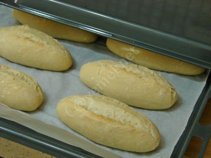 Küçük Somun Ekmek