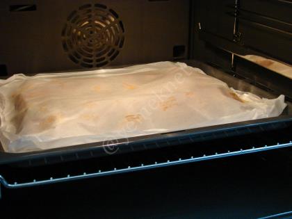 Fırında Tavuk Şiş