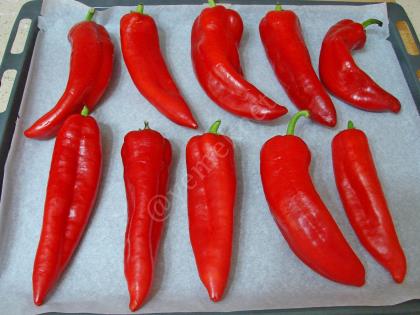 Közlenmiş Kırmızı Biber Sosu