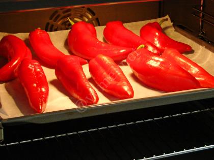 Közlenmiş Kırmızı Biber Sosu