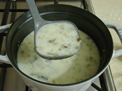 Ispanak Kökü Çorbası