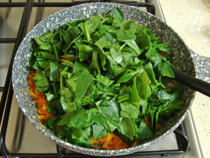 Ispanaklı Havuç Tarator