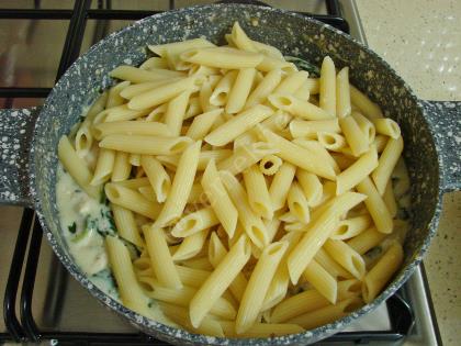 Tavuklu Ispanaklı Makarna