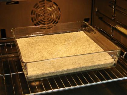 Sütlü Haşhaşlı Revani