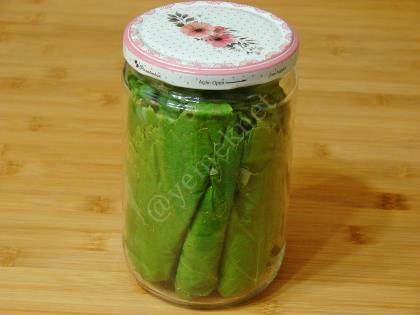 Kurudan Asma Yaprağı