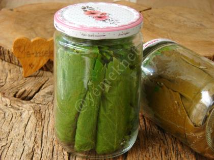 Kurudan Asma Yaprağı