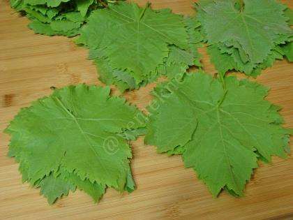 Kurudan Asma Yaprağı