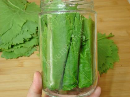 Kurudan Asma Yaprağı