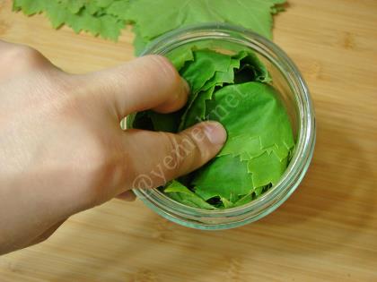 Kurudan Asma Yaprağı