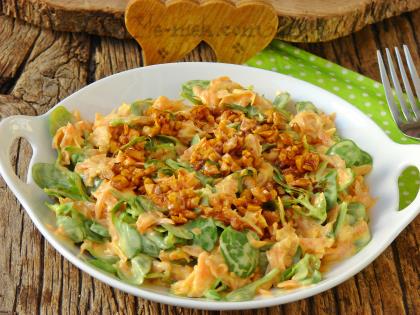 Semizotlu Havuç Tarator