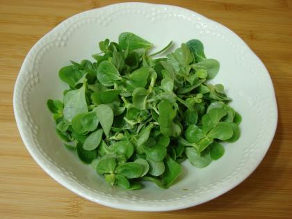 Semizotlu Havuç Tarator