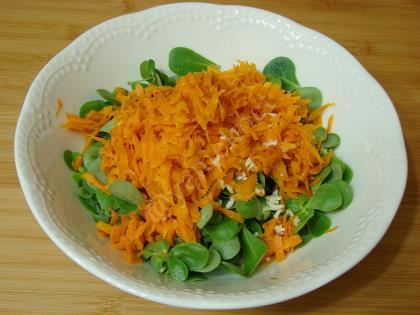 Semizotlu Havuç Tarator