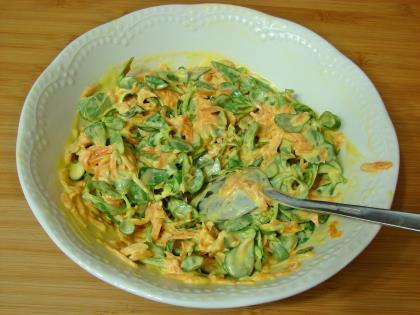 Semizotlu Havuç Tarator