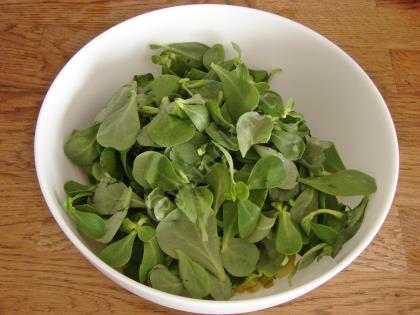 Kabaklı Semizotu Salatası