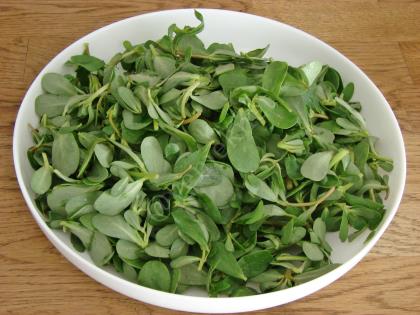 Tavuklu Semizotu Salatası