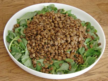 Yoğurtlu Mercimekli Semizotu Salatası